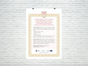 Dyplom potwierdzający realizację Projektów Europejskich