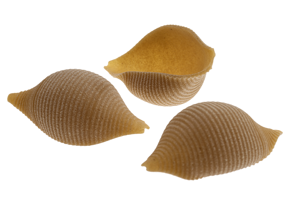 Makaron Czaniecki shell
